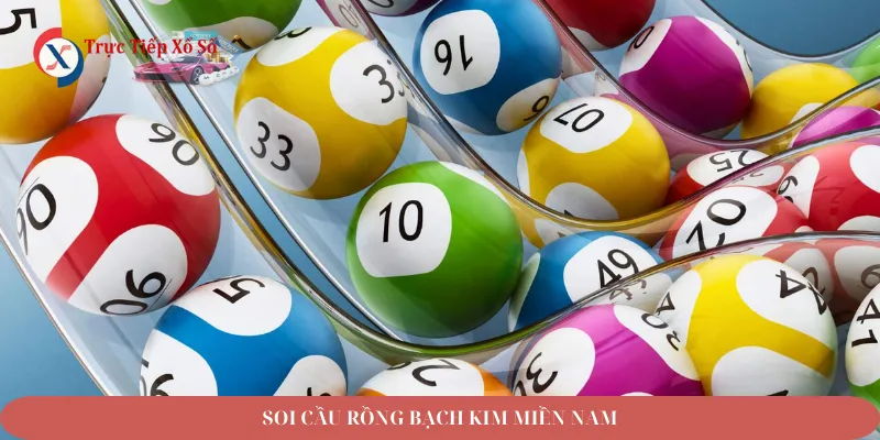 soi cầu rồng bạch kim miền nam